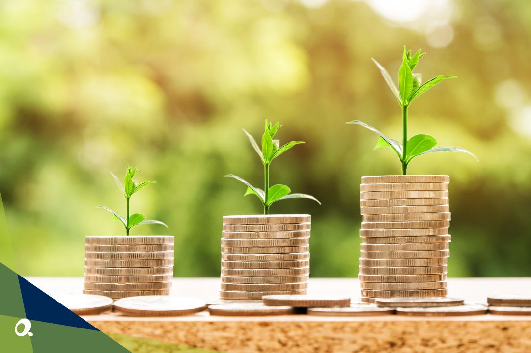 Three stacks of coins with growing plants on top, signifying business growth